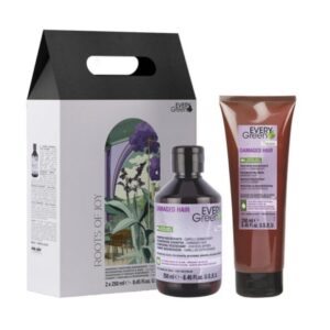 KIT NAVIDAD DAMAGED - Everygreen