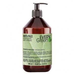 EV Champú ANTIFRIZZ- Every Green