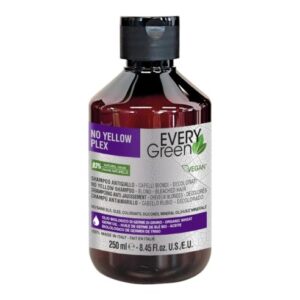 EV Champú No Yellow Plex - Every Green