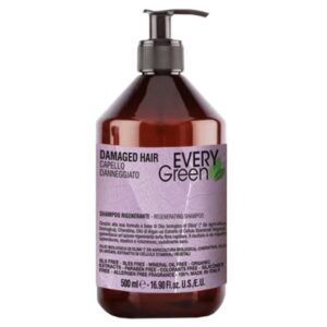 EV Champú DAMAGED Hair- Every Green